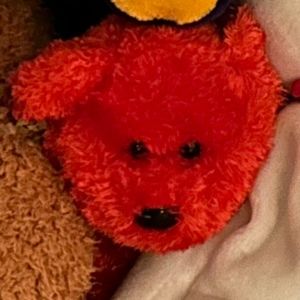 Meet your Posher, Ass